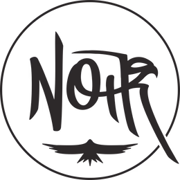 Logo de NOIR artist